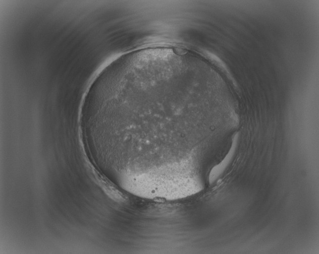 X0000067471427200604211555