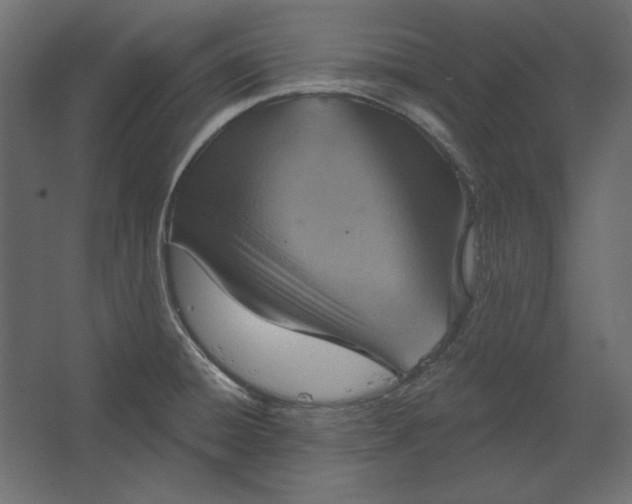 X0000067471428200604211555