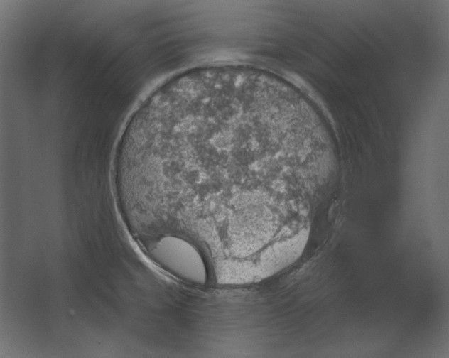 X0000067471429200604211555