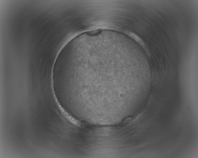 X0000067471431200604211555