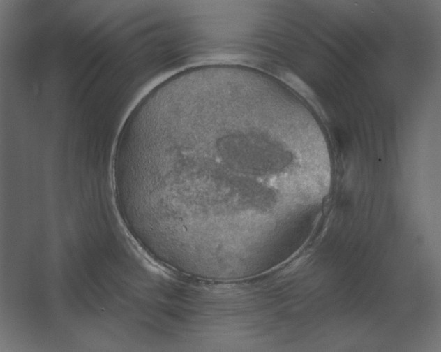 X0000067471436200604211555