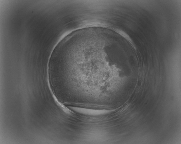 X0000067471439200604211555