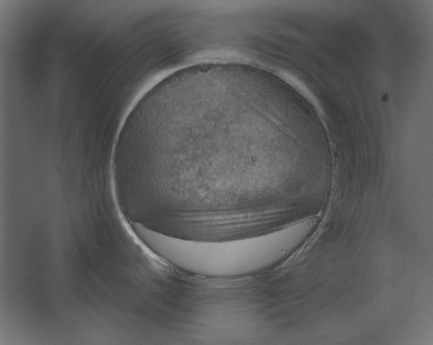 X0000067471440200604211555