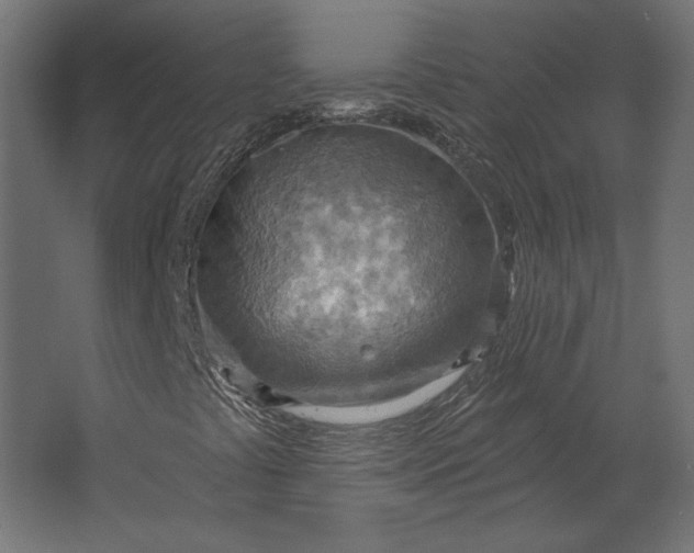 X0000067471441200604211555