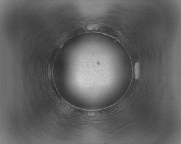 X0000067471443200604211554