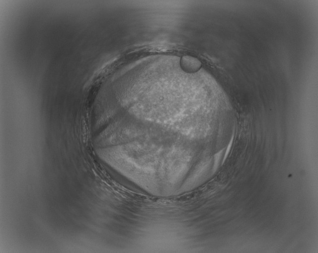 X0000067471446200604211554