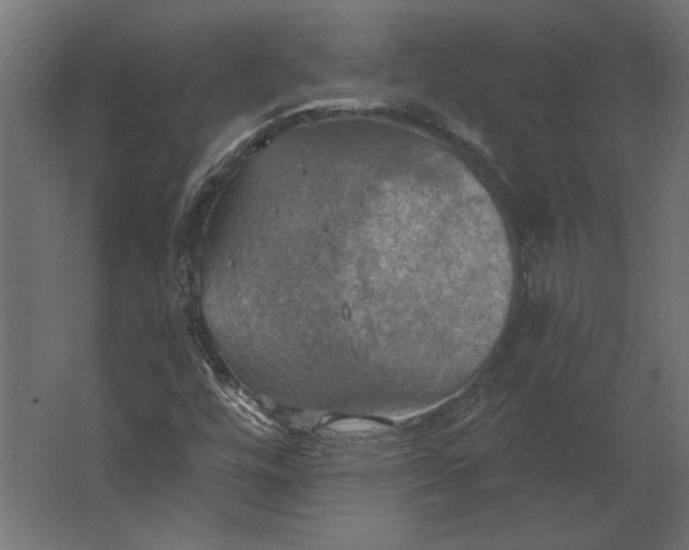 X0000067471448200604211554