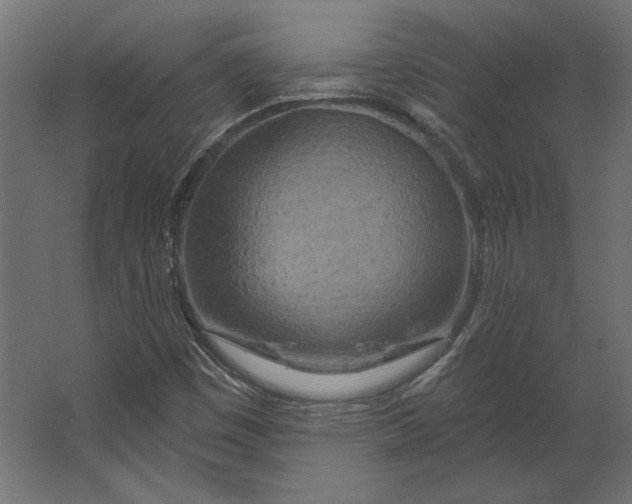 X0000067471449200604211554