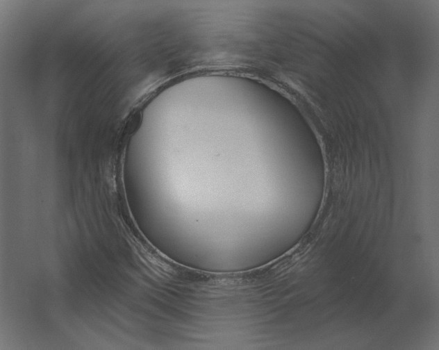 X0000067471451200604211554