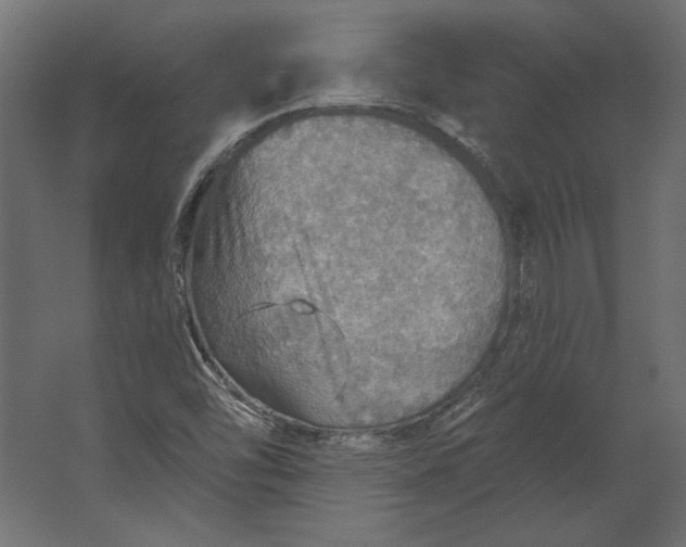 X0000067471454200604211554