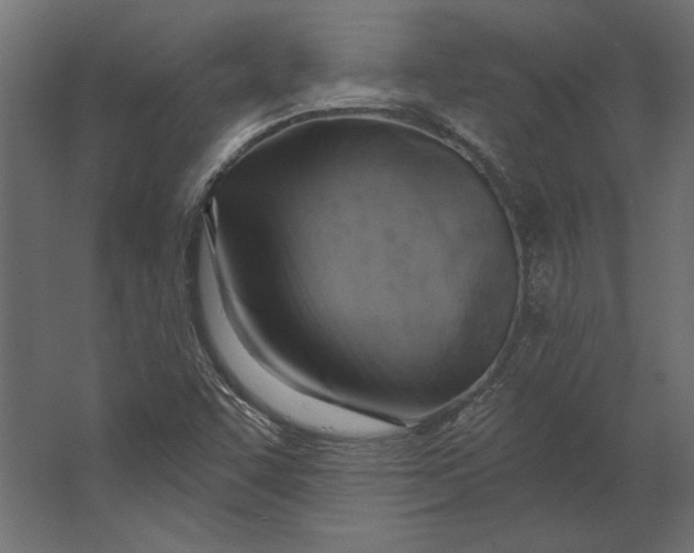 X0000067471455200604211554