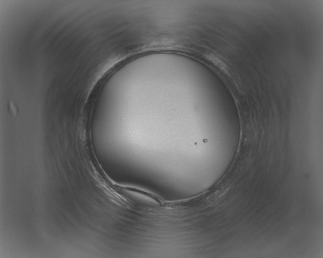 X0000067471458200604211554