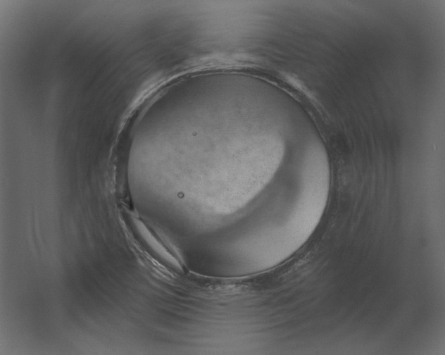 X0000067471459200604211554