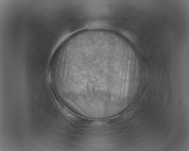 X0000067471462200604211554