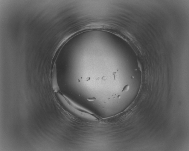 X0000067471465200604211554