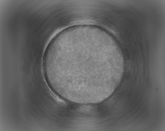 X0000067471470200604211554