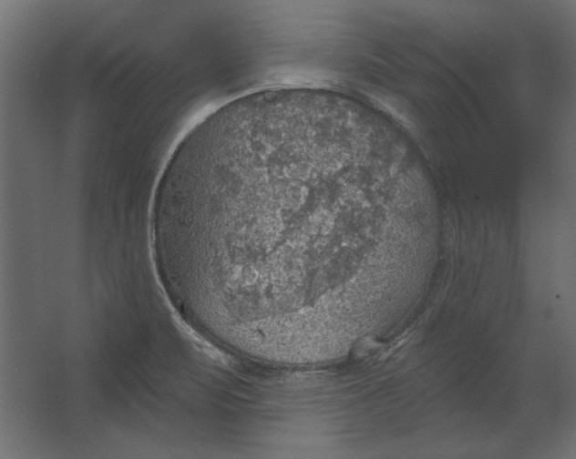 X0000067471471200604211554