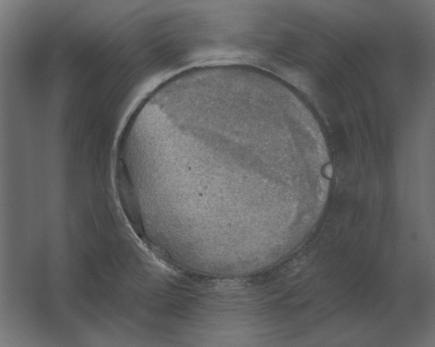 X0000067471472200604211554