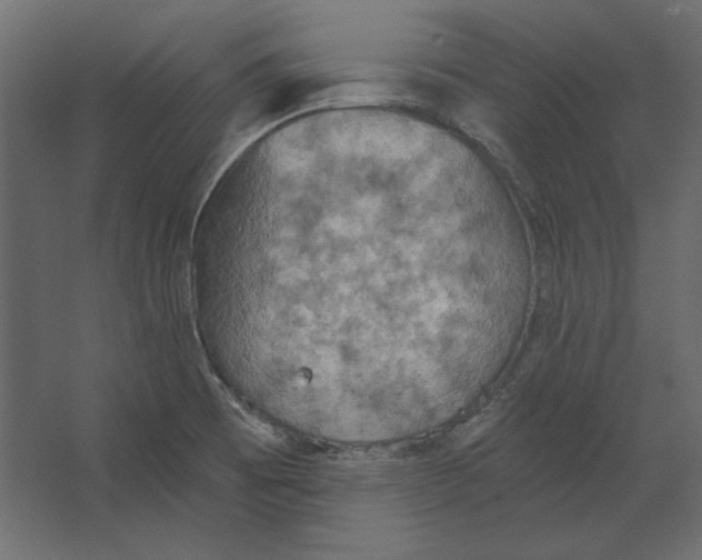 X0000067471473200604211554