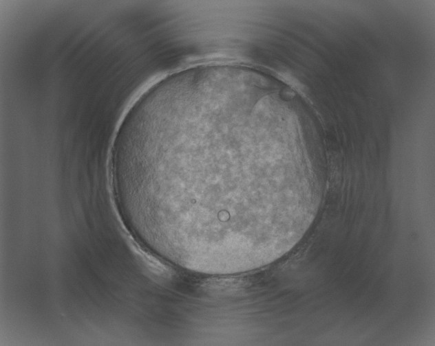 X0000067471474200604211554