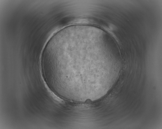 X0000067471475200604211554