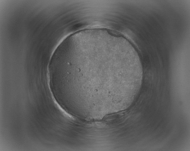 X0000067471476200604211554