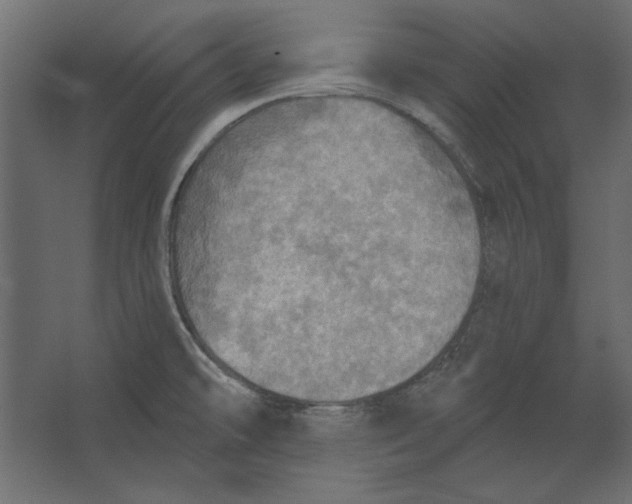 X0000067471478200604211554