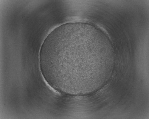 X0000067471479200604211554