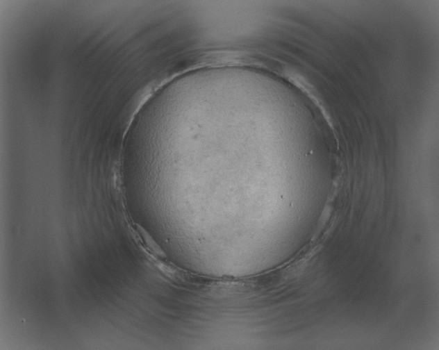 X0000067471481200604211554