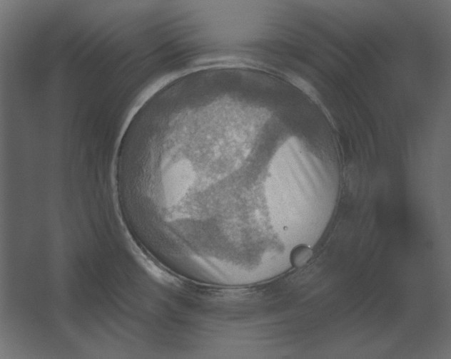 X0000067471482200604211554