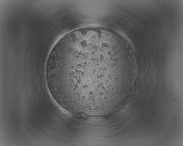 X0000067471483200604211554