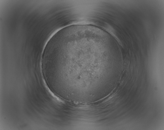 X0000067471484200604211554