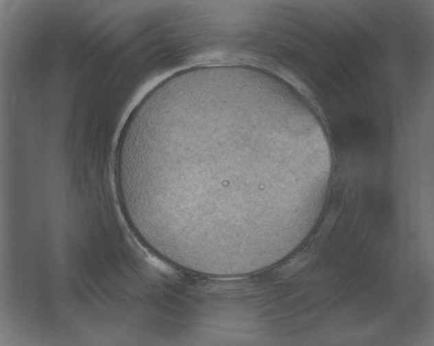 X0000067471486200604211554