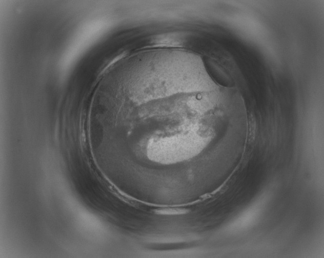 X0000067471487200604211554