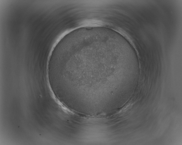 X0000067471488200604211554