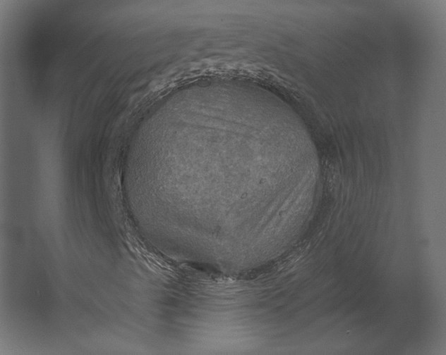 X0000067471489200604211553