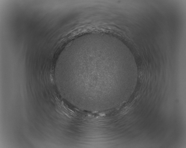 X0000067471490200604211553