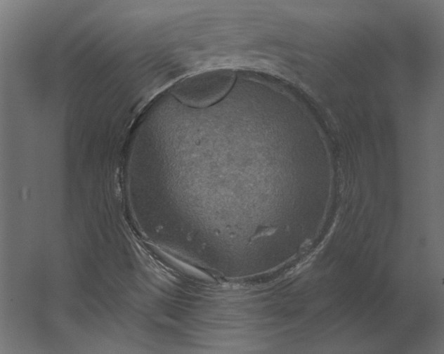 X0000067471497200604211553