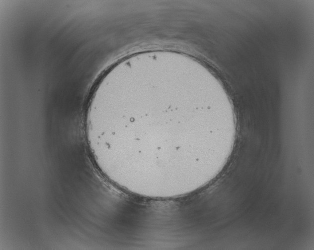 X0000067471498200604211553