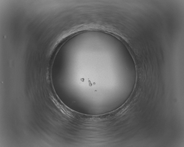 X0000067471499200604211553