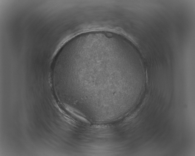 X0000067471501200604211553