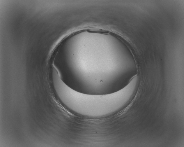 X0000067471502200604211553