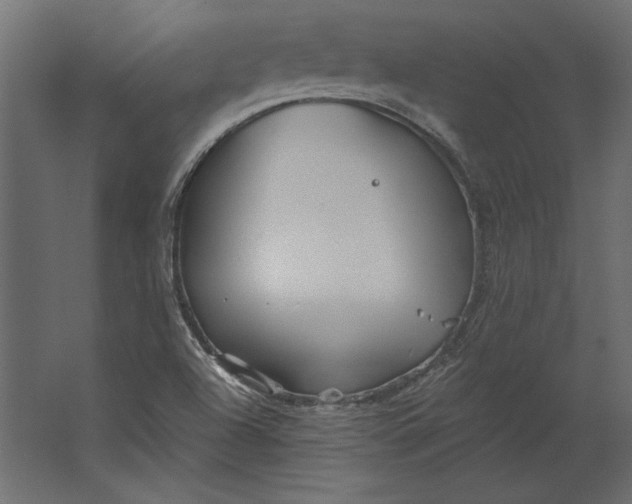 X0000067471504200604211553