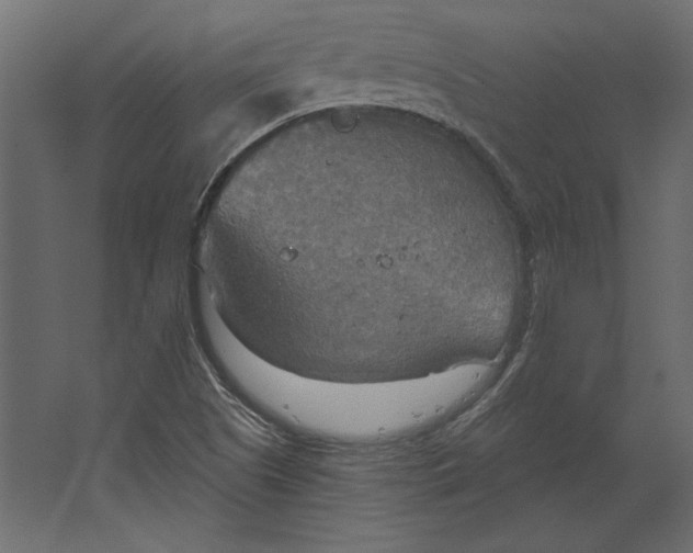 X0000067471505200604211553