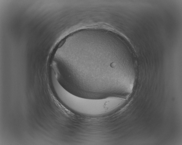 X0000067471506200604211553