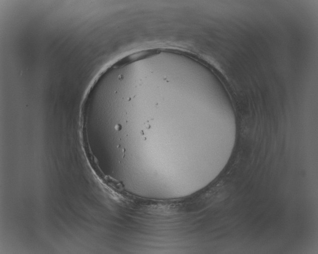 X0000067471508200604211553