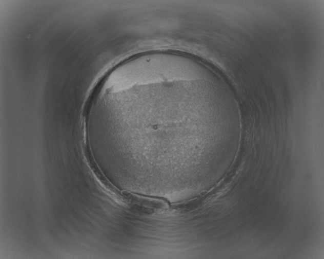 X0000067471509200604211553