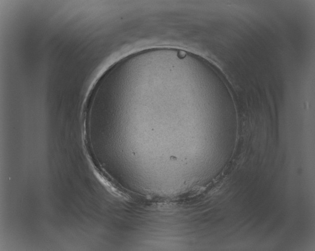 X0000067471511200604211553