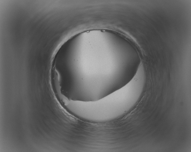 X0000067471512200604211553