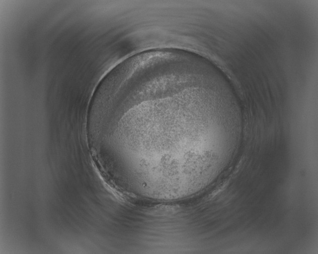 X0000067471513200604211553